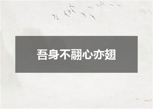 吾身不翮心亦翅