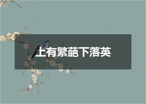 上有繁葩下落英