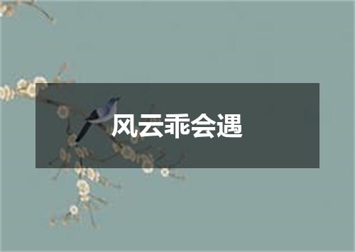 风云乖会遇