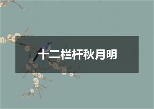 十二栏杆秋月明