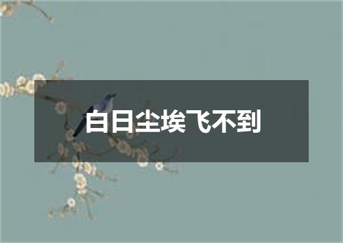 白日尘埃飞不到