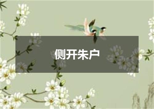侧开朱户