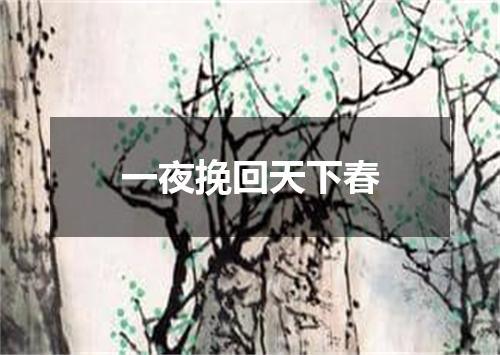 一夜挽回天下春