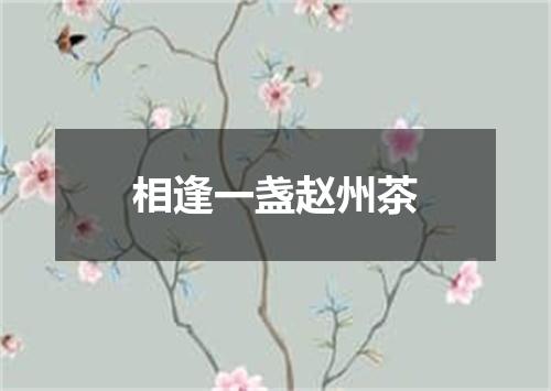 相逢一盏赵州茶