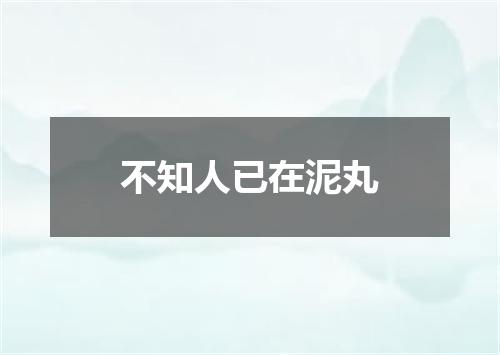 不知人已在泥丸