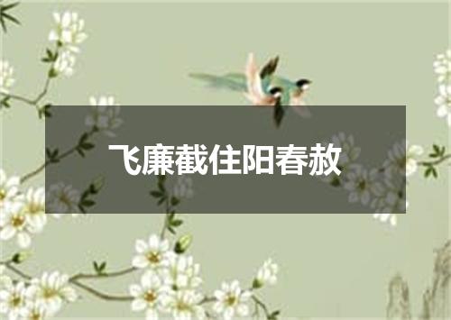 飞廉截住阳春赦