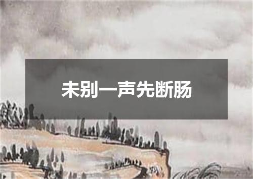 未别一声先断肠