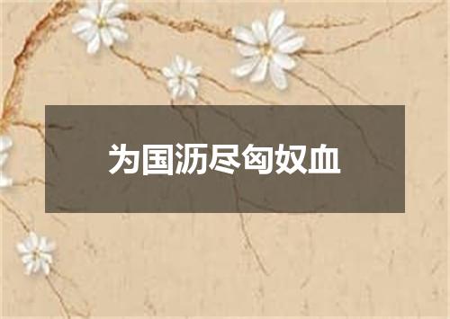 为国沥尽匈奴血
