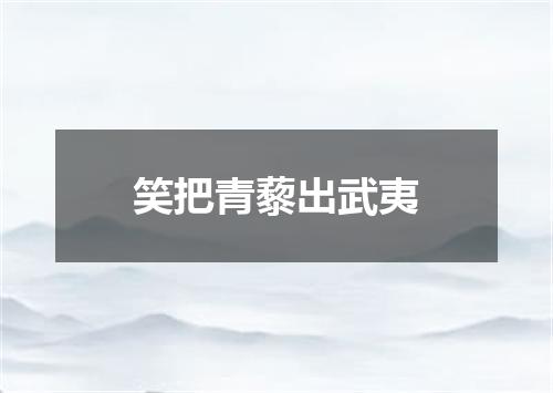 笑把青藜出武夷
