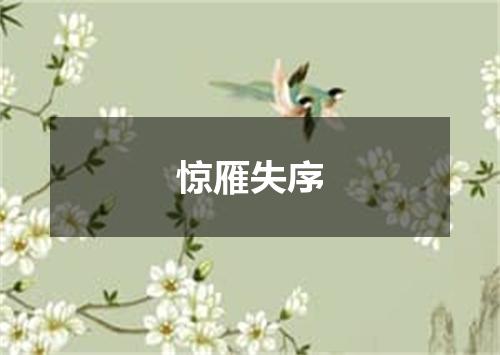 惊雁失序