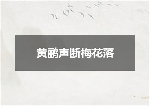 黄鹂声断梅花落