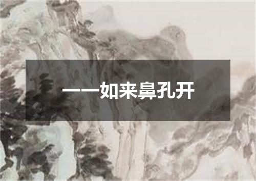 一一如来鼻孔开