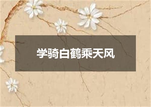 学骑白鹤乘天风
