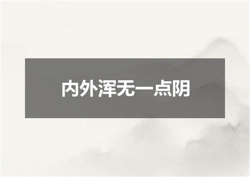 内外浑无一点阴