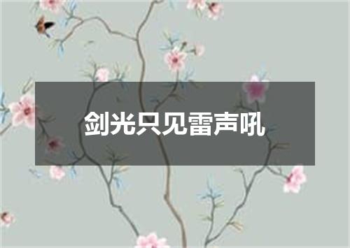剑光只见雷声吼