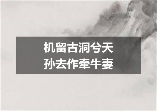 机留古洞兮天孙去作牵牛妻