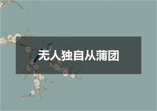 无人独自从蒲团