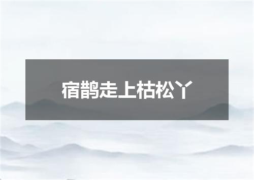 宿鹊走上枯松丫
