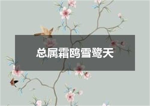 总属霜鸥雪鹭天