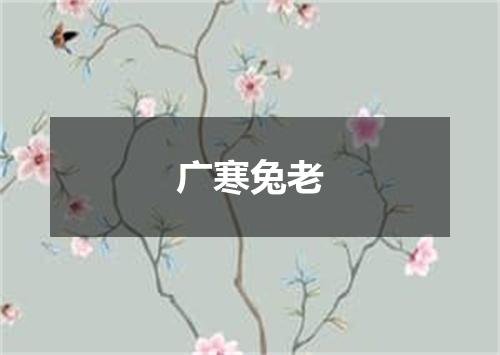 广寒兔老