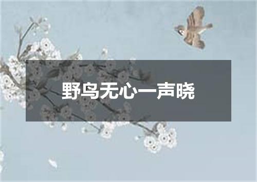 野鸟无心一声晓