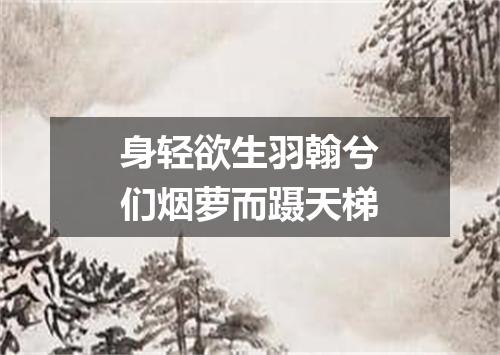 身轻欲生羽翰兮们烟萝而蹑天梯