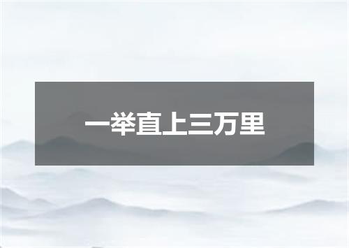 一举直上三万里