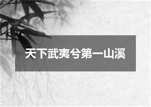 天下武夷兮第一山溪