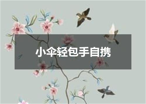 小伞轻包手自携