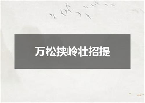 万松挟岭壮招提
