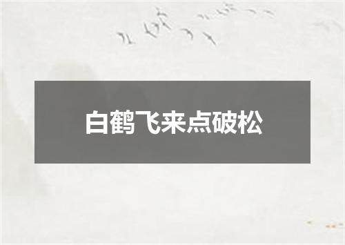 白鹤飞来点破松
