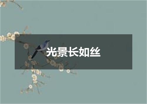 光景长如丝