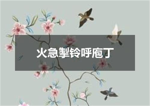 火急掣铃呼庖丁