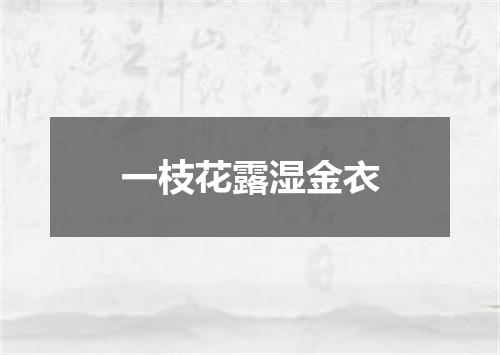 一枝花露湿金衣