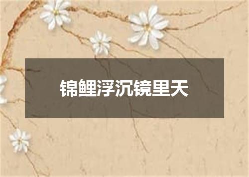 锦鲤浮沉镜里天