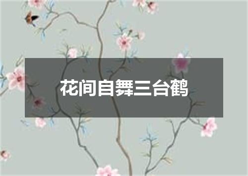 花间自舞三台鹤