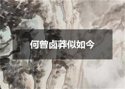 何曾卤莽似如今