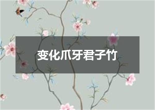 变化爪牙君子竹