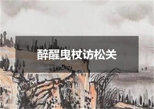 醉醒曳杖访松关