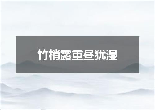 竹梢露重昼犹湿