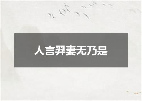 人言羿妻无乃是