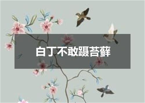 白丁不敢蹑苔藓