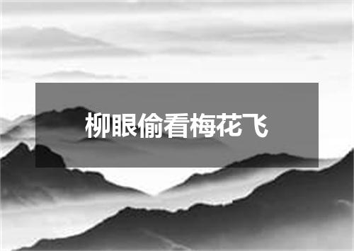 柳眼偷看梅花飞