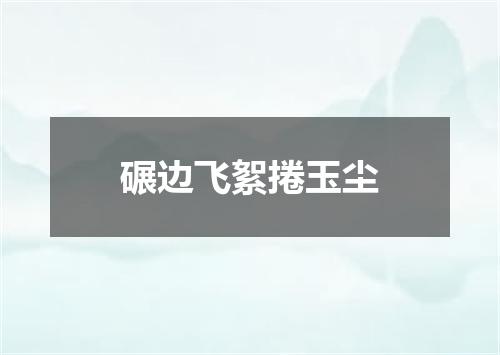 碾边飞絮捲玉尘