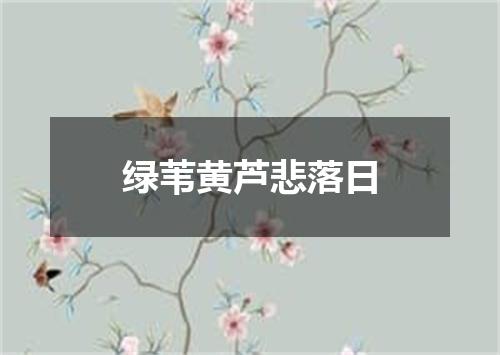 绿苇黄芦悲落日
