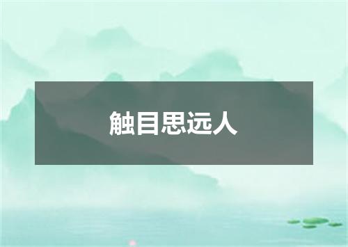 触目思远人