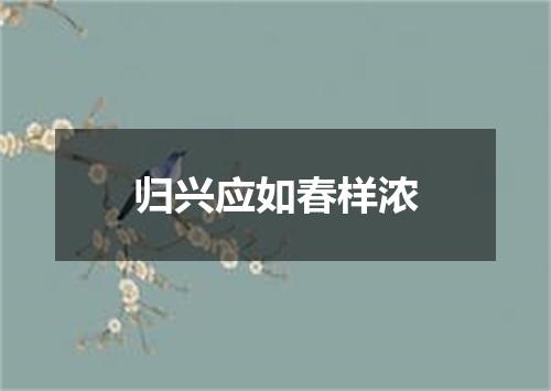 归兴应如春样浓