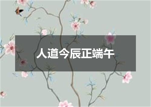 人道今辰正端午