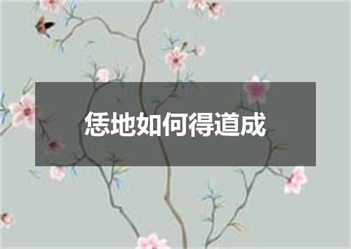恁地如何得道成