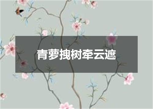 青萝拽树牵云遮